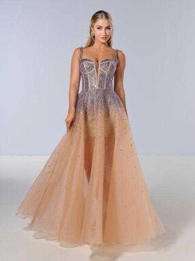 Tiffany Design Nude Ombre Beaded Tulle Gown with Illusion Skirt